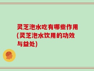 灵芝泡水吃有哪些作用(灵芝泡水饮用的功效与益处)