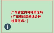 广东省室内可种灵芝吗(广东省的房间适合种植灵芝吗？)