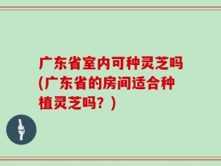 广东省室内可种灵芝吗(广东省的房间适合种植灵芝吗？)