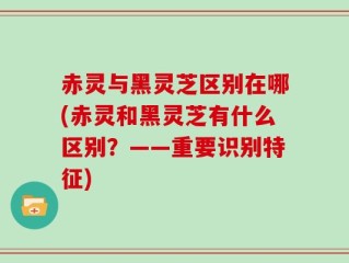 赤灵与黑灵芝区别在哪(赤灵和黑灵芝有什么区别？——重要识别特征)