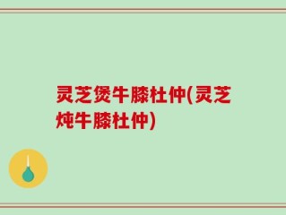 灵芝煲牛膝杜仲(灵芝炖牛膝杜仲)