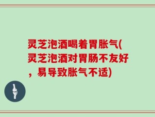 灵芝泡酒喝着胃胀气(灵芝泡酒对胃肠不友好，易导致胀气不适)