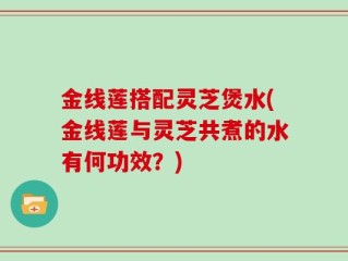 金线莲搭配灵芝煲水(金线莲与灵芝共煮的水有何功效？)
