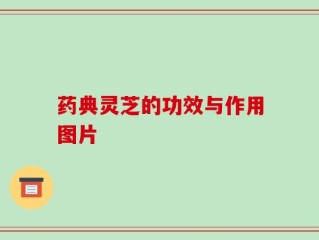 药典灵芝的功效与作用图片