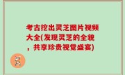 考古挖出灵芝图片视频大全(发现灵芝的全貌，共享珍贵视觉盛宴)