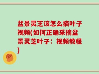 盆景灵芝该怎么摘叶子视频(如何正确采摘盆景灵芝叶子：视频教程)