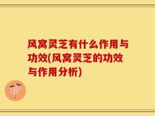 风窝灵芝有什么作用与功效(风窝灵芝的功效与作用分析)