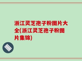 浙江灵芝孢子粉图片大全(浙江灵芝孢子粉图片集锦)