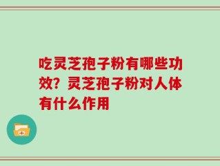 吃灵芝孢子粉有哪些功效？灵芝孢子粉对人体有什么作用