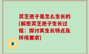 灵芝孢子是怎么生长的(解密灵芝孢子生长过程：探讨其生长特点及环境要求)