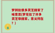 梦到捡很多灵芝回家了啥意思(梦见捡了许多灵芝带回家，意义何在？)