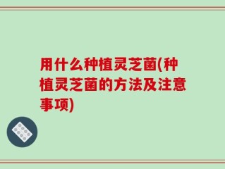 用什么种植灵芝菌(种植灵芝菌的方法及注意事项)