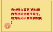 吉林野山灵芝(吉林境内发现珍贵野生灵芝，或为新药研发提供契机)