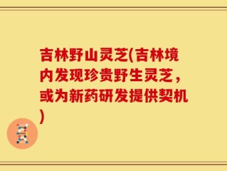 吉林野山灵芝(吉林境内发现珍贵野生灵芝，或为新药研发提供契机)