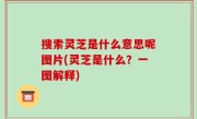 搜索灵芝是什么意思呢图片(灵芝是什么？一图解释)