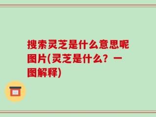 搜索灵芝是什么意思呢图片(灵芝是什么？一图解释)