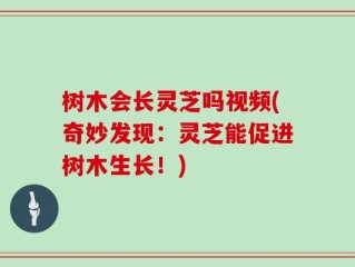 树木会长灵芝吗视频(奇妙发现：灵芝能促进树木生长！)