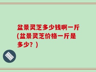 盆景灵芝多少钱啊一斤(盆景灵芝价格一斤是多少？)