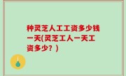 种灵芝人工工资多少钱一天(灵芝工人一天工资多少？)