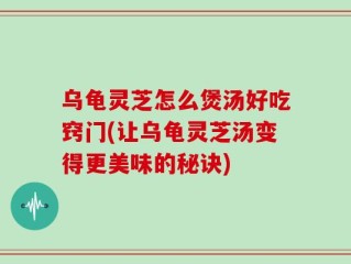 乌龟灵芝怎么煲汤好吃窍门(让乌龟灵芝汤变得更美味的秘诀)