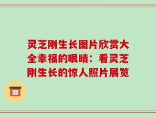 灵芝刚生长图片欣赏大全幸福的眼睛：看灵芝刚生长的惊人照片展览