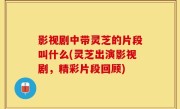 影视剧中带灵芝的片段叫什么(灵芝出演影视剧，精彩片段回顾)