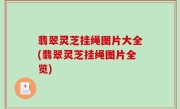 翡翠灵芝挂绳图片大全(翡翠灵芝挂绳图片全览)