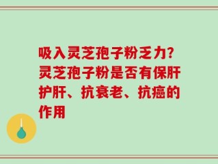 吸入灵芝孢子粉乏力？灵芝孢子粉是否有保肝护肝、抗衰老、抗癌的作用