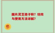 图片灵芝孢子粉？功效与使用方法详解？