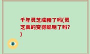 千年灵芝成精了吗(灵芝真的变得聪明了吗？)