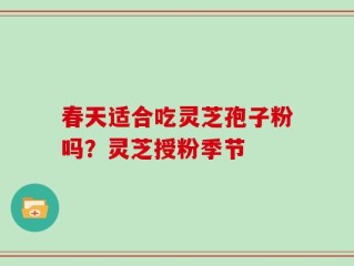 春天适合吃灵芝孢子粉吗？灵芝授粉季节