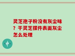灵芝孢子粉没有灰尘味？干灵芝摆件表面灰尘怎么处理