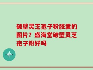 破壁灵芝孢子粉胶囊的图片？盛海堂破壁灵芝孢子粉好吗