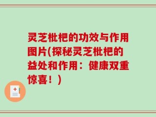 灵芝枇杷的功效与作用图片(探秘灵芝枇杷的益处和作用：健康双重惊喜！)