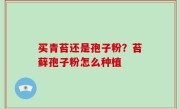 买青苔还是孢子粉？苔藓孢子粉怎么种植