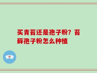 买青苔还是孢子粉？苔藓孢子粉怎么种植