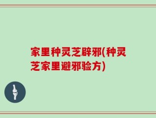 家里种灵芝辟邪(种灵芝家里避邪验方)