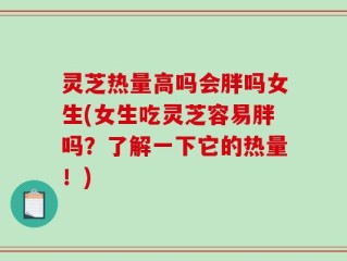 灵芝热量高吗会胖吗女生(女生吃灵芝容易胖吗？了解一下它的热量！)
