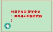 好灵芝宝贝(灵芝宝贝：滋养身心的秘密武器)