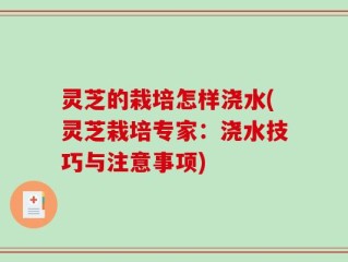 灵芝的栽培怎样浇水(灵芝栽培专家：浇水技巧与注意事项)