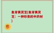 象牙黄灵芝(象牙黄灵芝：一种珍贵的中药材)