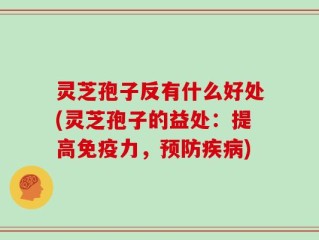 灵芝孢子反有什么好处(灵芝孢子的益处：提高免疫力，预防疾病)