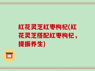 红花灵芝红枣枸杞(红花灵芝搭配红枣枸杞，提振养生)
