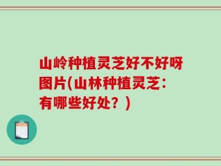 山岭种植灵芝好不好呀图片(山林种植灵芝：有哪些好处？)