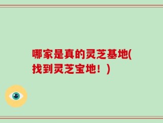 哪家是真的灵芝基地(找到灵芝宝地！)