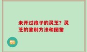未开过孢子的灵芝？灵芝的鉴别方法和图鉴