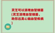 灵芝可以清理血管细菌(灵芝清理血管细菌，助你远离心脑血管疾病)