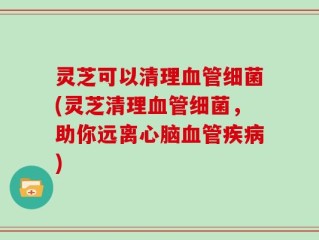 灵芝可以清理血管细菌(灵芝清理血管细菌，助你远离心脑血管疾病)
