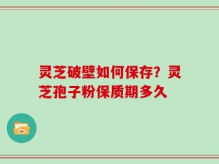 灵芝破壁如何保存？灵芝孢子粉保质期多久