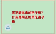 灵芝磨出来的孢子粉？什么是纯正的灵芝孢子粉